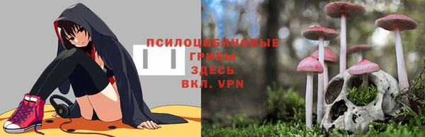 трава Медногорск