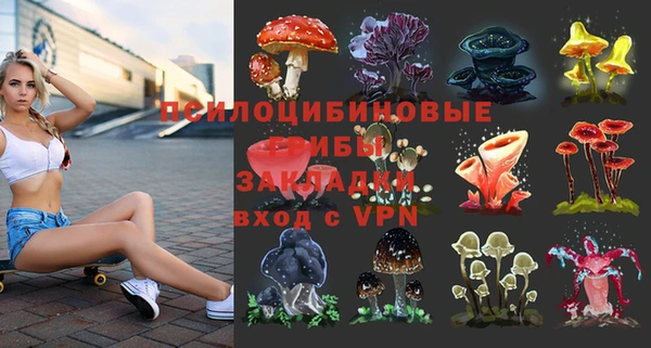 гидропоника Медвежьегорск