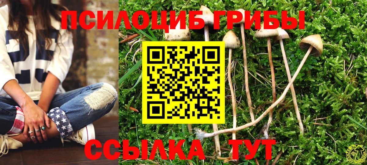 Галлюциногенные грибы мухоморы  Вход с VPN  что такое наркотик  Псилоцибиновые грибы GOLDEN TEACHER  Владивосток 