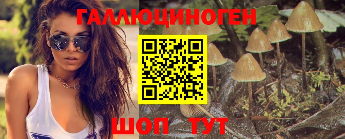 Псилоцибиновые грибы мицелий  Владивосток  Галлюциногенные грибы MAGIC MUSHROOMS 