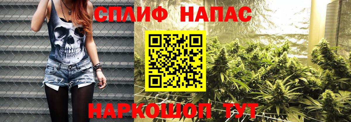 Каннабис планчик Владивосток